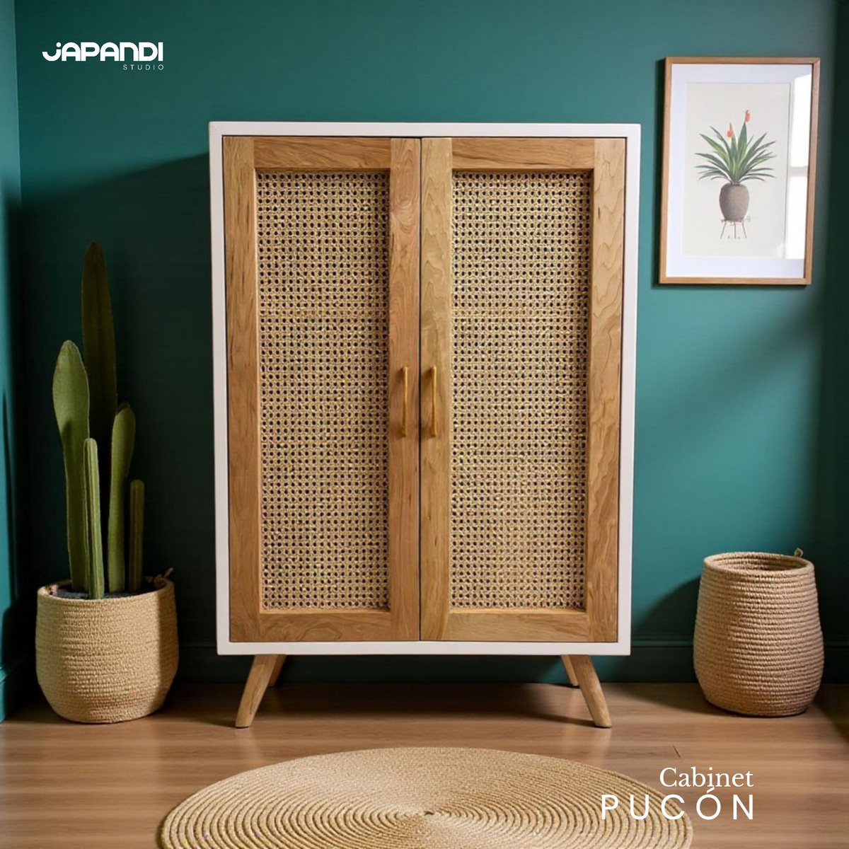 Cabinet Pucon