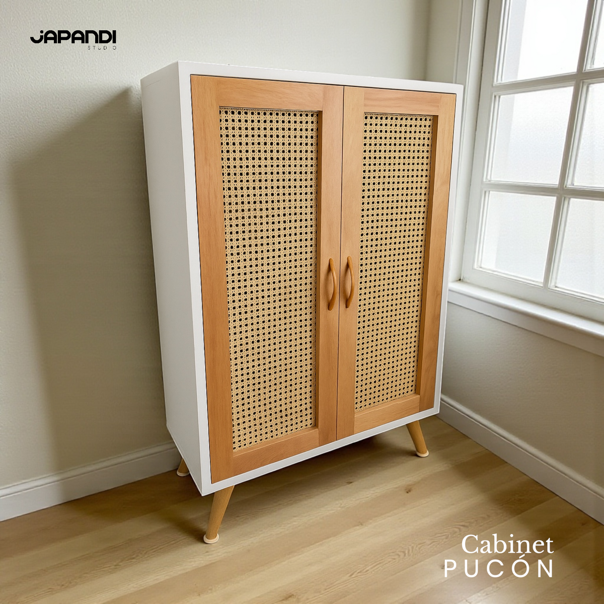 Cabinet Pucon