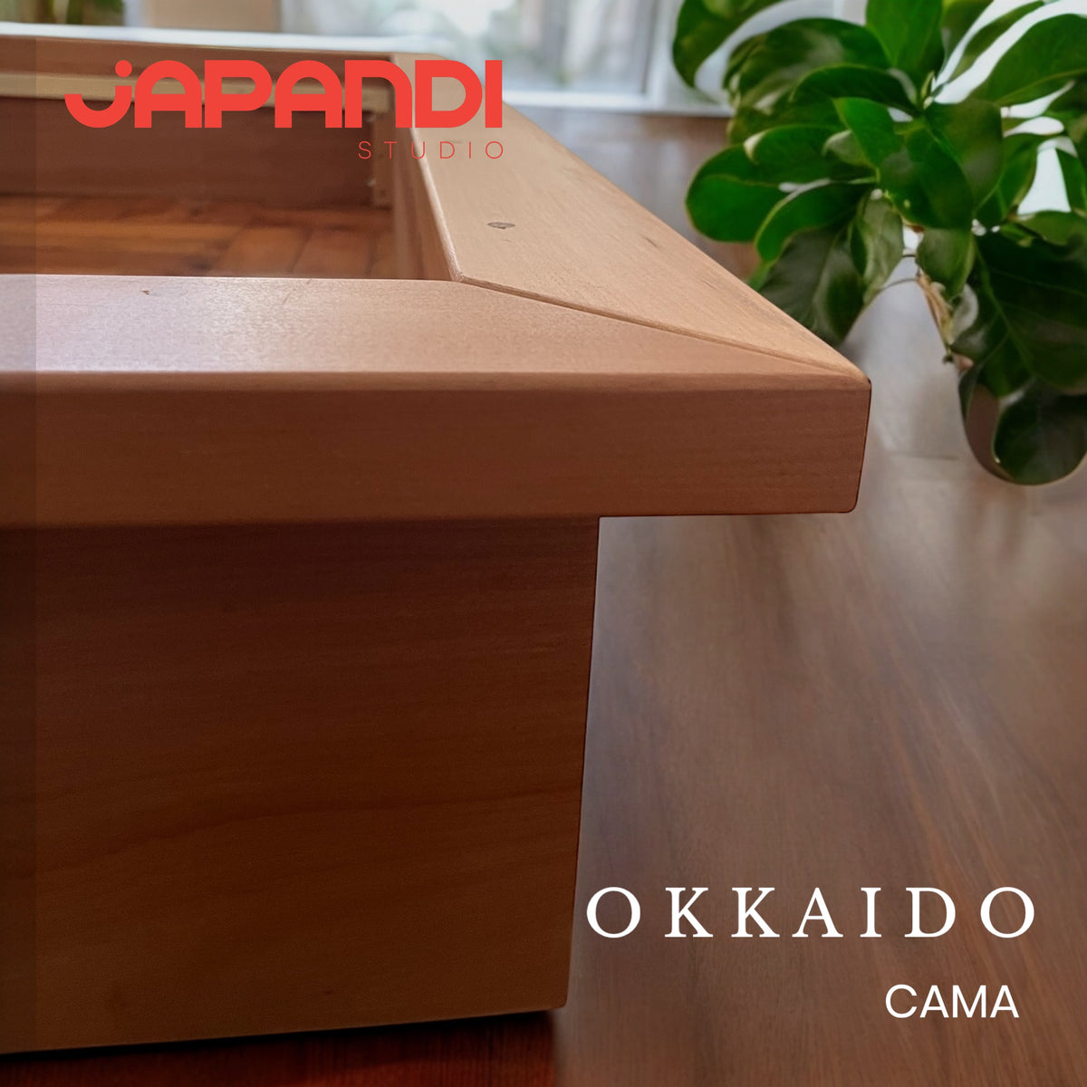 Cama Hokkaido