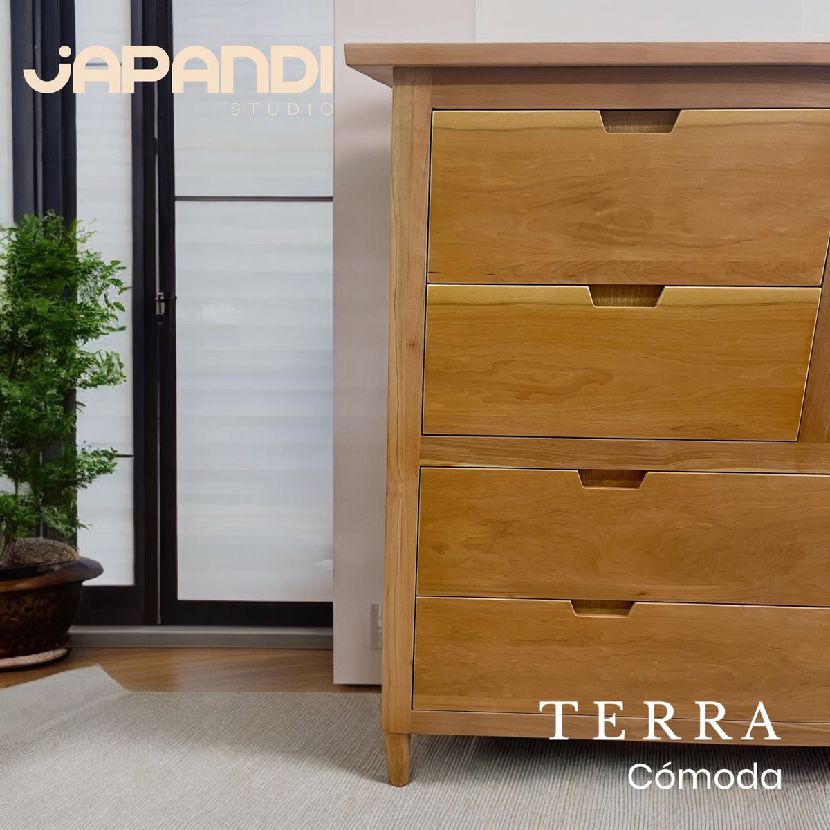 Comoda Terra Dos
