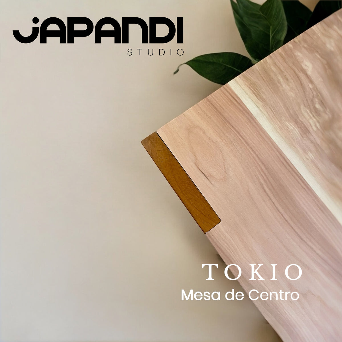 Mesa de Centro Tokio